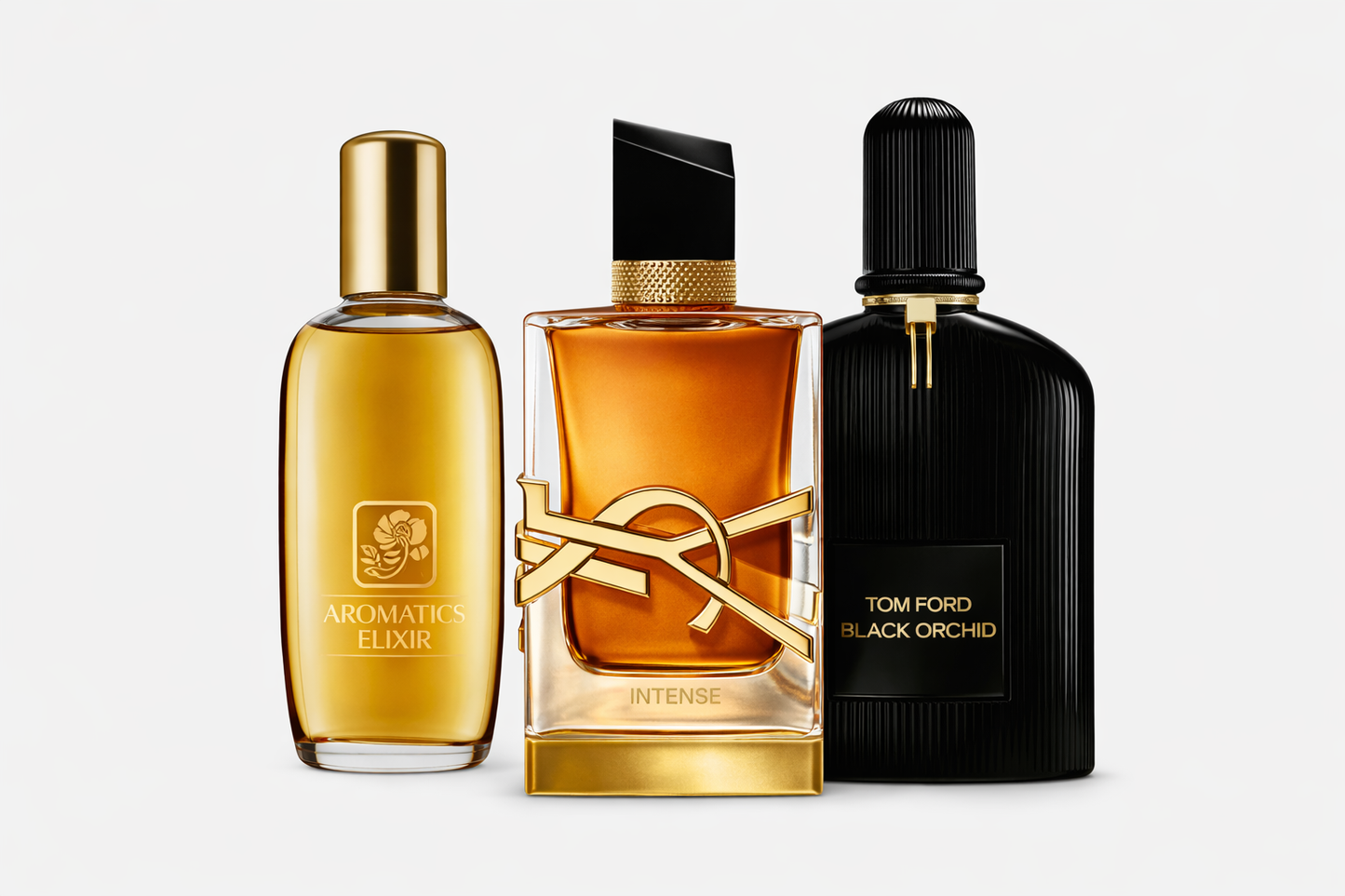 Women's Winter Intense - Bundle